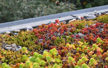 the cost of Chimney Street green roof installation