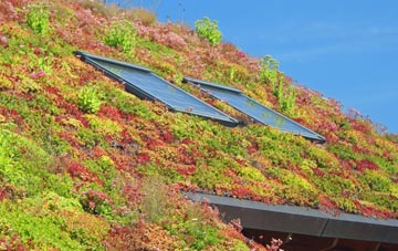 Chimney Street living roof systems